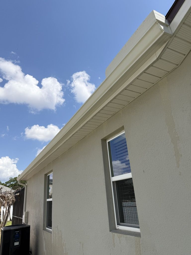 Gutter cleaning service on a Florida home