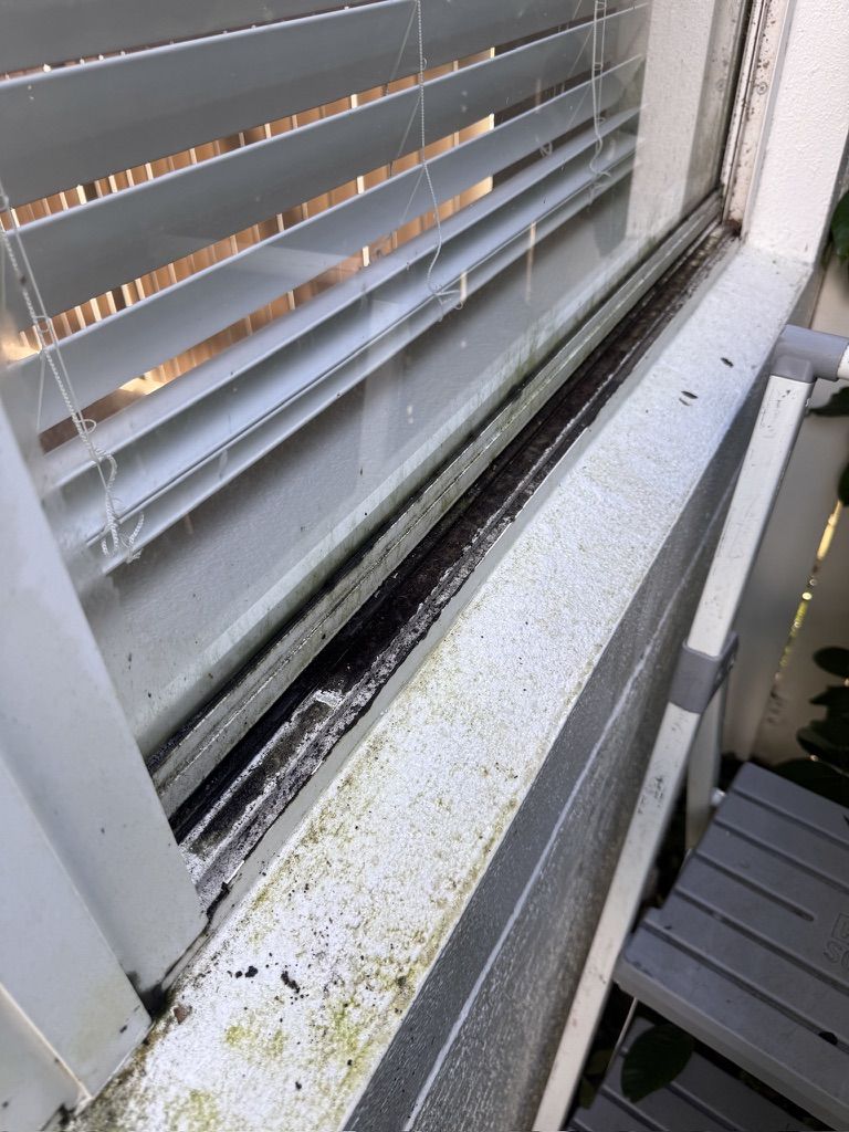Gutter cleaning service on a Florida home